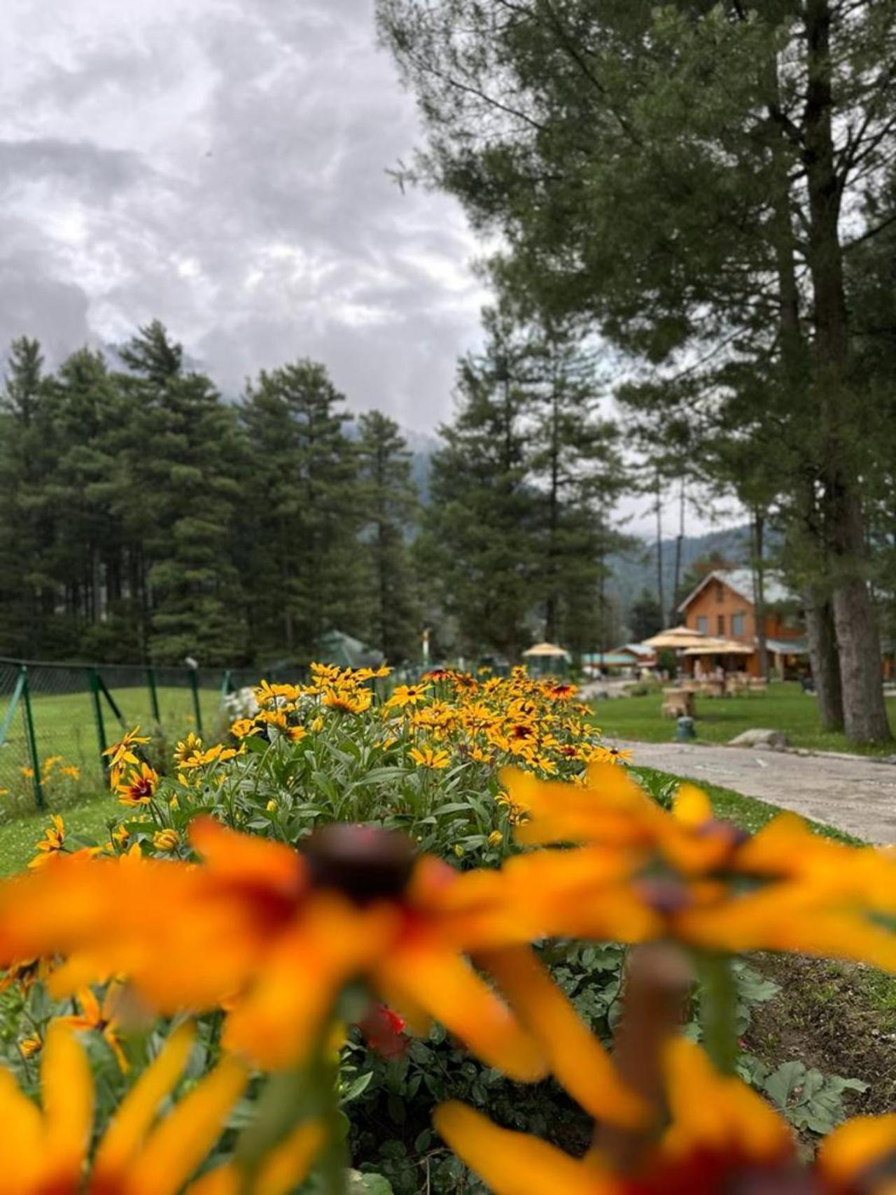 Radisson Golf Resort Pahalgām Buitenkant foto